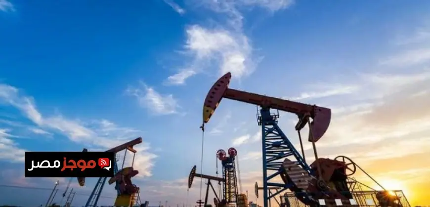 وزير الرياضة يعلن بدء التحضيرات لنصف ماراثون الأهرامات 2025 لدعم السياحة الرياضية في مصر