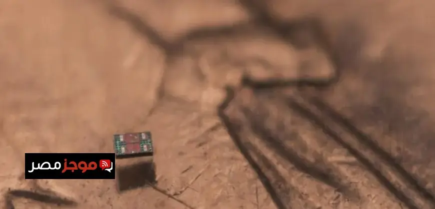 روبوت بحجم حبة ملح يملك القدرة على الإحساس واتخاذ القرار