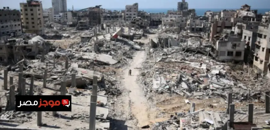 وزير التموين يدعو لزيادة كفاءة التشغيل في شركات المضارب وتعزيز الإنتاج المحلي