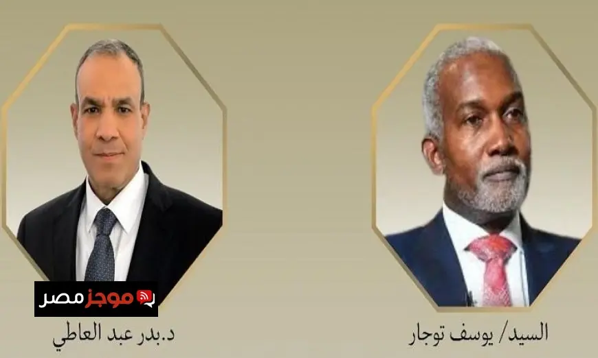 وزير الخارجية المصري يؤكد لنظيره النيجيري دعم مصر في مكافحة الإرهاب في إفريقيا