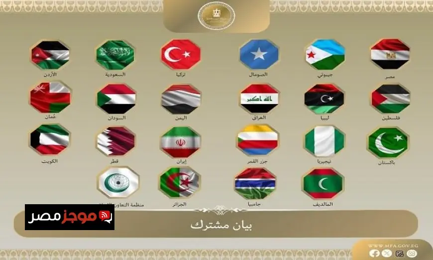 مصر ودول أخرى تصدر بيانًا مشتركًا بشأن اعتراف إسرائيل بإقليم أرض الصومال