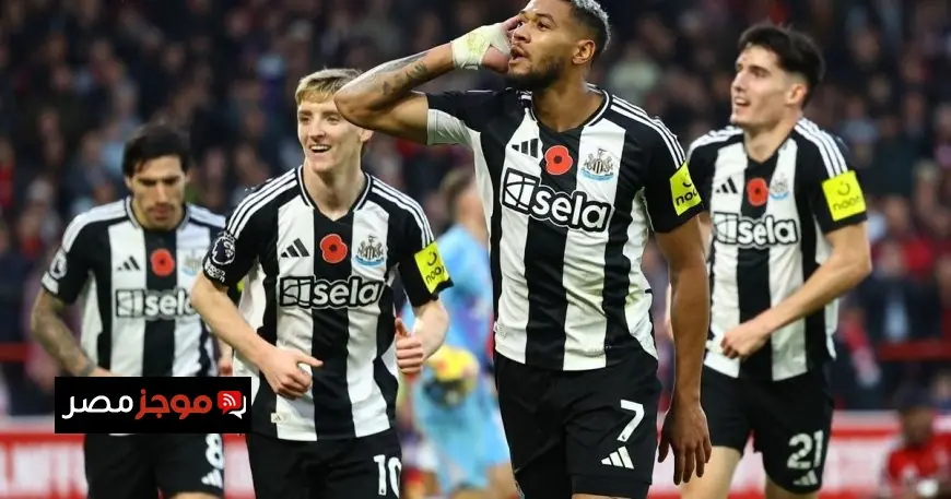 الأندية السعودية تتنافس بقوة على ضم نجم نيوكاسل المفضل للجماهير