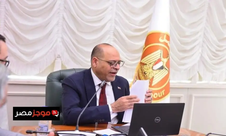 قرار وزاري من وزير العمل لتنظيم عمليات التدريب وتعزيز تطوير المهارات