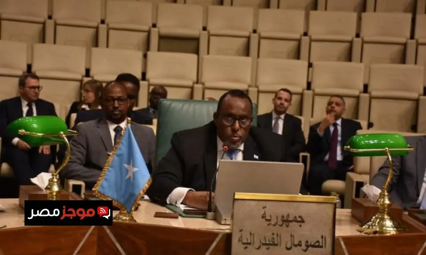 مندوب الصومال في الجامعة العربية يؤكد على الإجماع العربي لدعم وحدة الصومال والتصدي للمخططات الخارجية