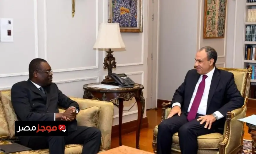 وزير الخارجية يبرز دعم مصر لتطوير قطاع الصحة والأمن الدوائي في أفريقيا