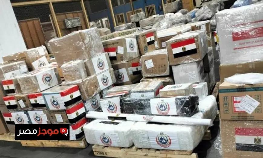 وزارة الصحة تختتم نجاح القافلة الطبية المصرية في السودان