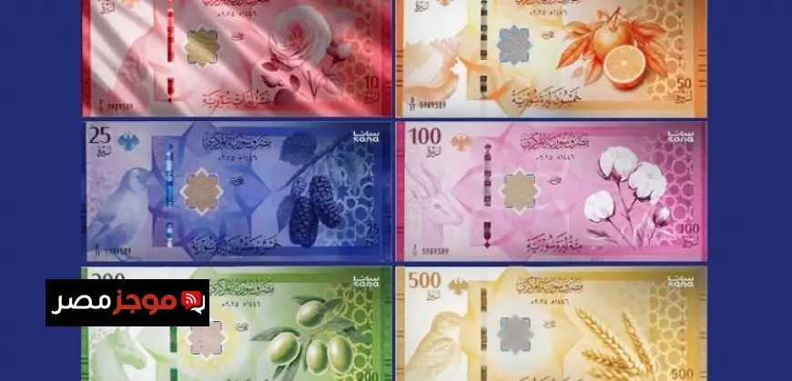 الهيئة الوطنية للإعلام تعزز جهود الشركة المتحدة لحظر ظهور ومتابعة البلوجرز والتيك توكرز