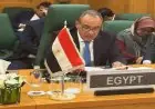 وزير الخارجية المصري يتحدث في الدورة الاستثنائية لمنظمة التعاون الإسلامي