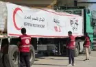 الهلال الأحمر المصري يستمر في تقديم المساعدات إلى غزة من خلال قافلة زاد العزة 113