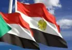 خبراء ودبلوماسيون يشيدون بمساهمة مصر الفعالة في تعزيز استقرار السودان