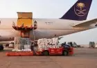 مطار العريش الدولي يستقبل طائرة مساعدات سعودية لدعم الفلسطينيين في غزة