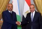 وزير الخارجية يناقش مع نظيره الجيبوتي آخر مستجدات الأوضاع في القرن الأفريقي