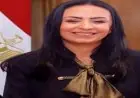 وزير الكهرباء يزور الصين لمناقشة تنفيذ مصانع بطاريات تخزين الطاقة