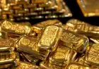 توقعات سعر الذهب في السوق المحلي هل تواصل الأسعار الارتفاع أم تبدأ في التراجع؟