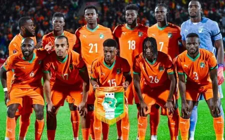 كوت ديفوار تحقق انتصارا مثيرا بعد ريمونتادا رائعة وتعتلي صدارة المجموعة على حساب الكاميرون