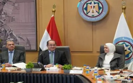 نجاح المراجعات مع صندوق النقد يعزز سير الاقتصاد المصري نحو الاتجاه الصحيح بحسب وزير المالية