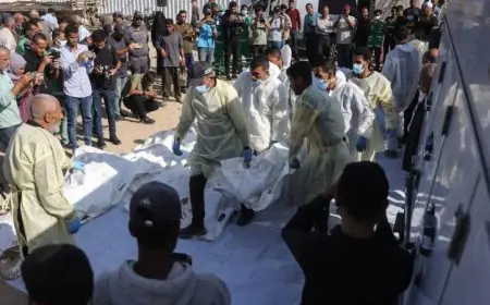 حصيلة العدوان الإسرائيلي على غزة تصل إلى 71271 شهيدًا مع تصاعد الأوضاع الإنسانية