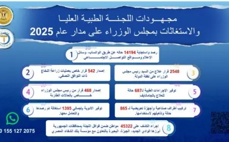 مدبولي يراقب تقدم اللجنة الطبية العليا وجهود الاستغاثات في مجلس الوزراء