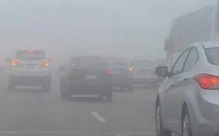 نصائح هامة للقيادة الآمنة في ظل الشبورة على الطرقات