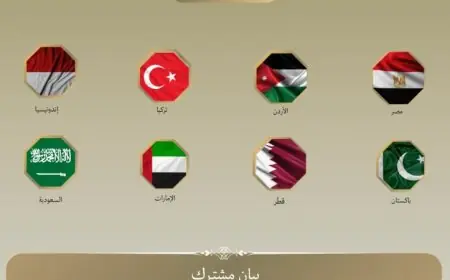 مصر وسبع دول عربية وإسلامية تطالب إسرائيل بإنهاء القيود على إمدادات غزة