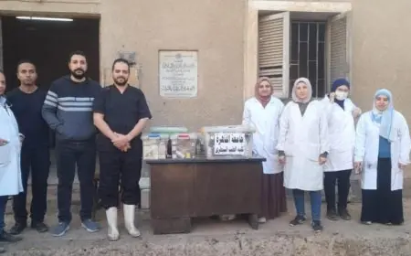 رئيس جامعة القاهرة يكشف عن نتائج القافلة التنموية في قرية المنوات بالجيزة