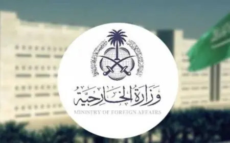 السعودية تستجيب لطلب العليمي بعقد مؤتمر شامل في الرياض لبحث حلول قضية الجنوب