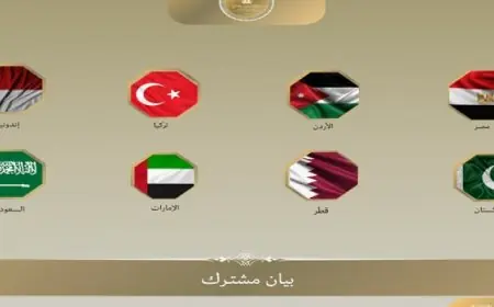 مصر ودول عربية وإسلامية تعبّر عن قلقها الشديد تجاه تدهور الأوضاع الإنسانية في قطاع غزة