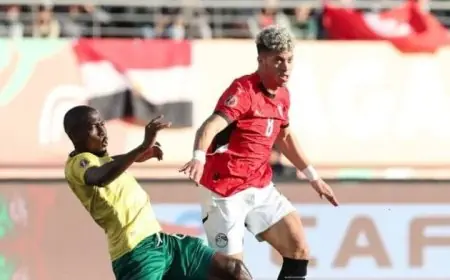 إمام عاشور يؤكد تطور الكرة الإفريقية ويشدد على الطموح لتحقيق اللقب الثامن في كأس أمم إفريقيا