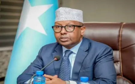 وزير الدفاع الصومالي يكشف عن تصفية قيادات مهمة في المليشيات الإرهابية