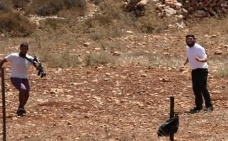 اعتداءات عنيفة للمستوطنين في الأغوار الشمالية واستهداف النازحين في جنوب قطاع غزة