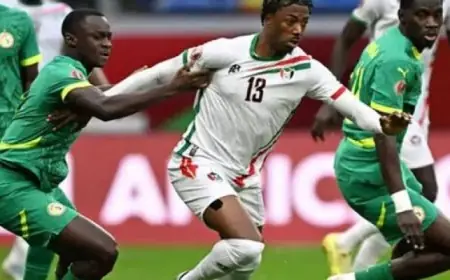 منتخب السنغال يتأهل لربع نهائي كأس الأمم الإفريقية بعد انتصاره المقنع على السودان 3-1