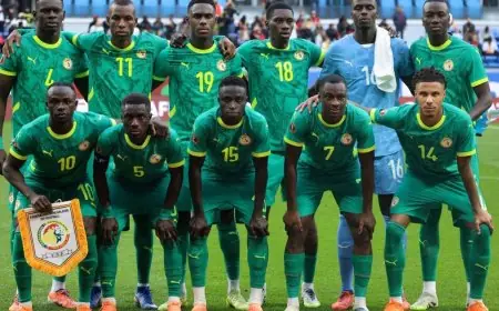 أرقام مذهلة للسنغال في مواجهة السودان وساديو ماني يتألق بالتمريرات الحاسمة