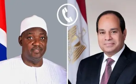 الرئيس السيسي ونظيره الجامبي يضعان خطة لتعزيز العلاقات الثنائية ومناقشة القضايا الإقليمية الساخنة