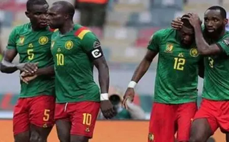 الكاميرون تتحدى جنوب أفريقيا في مواجهة مثيرة بدور الـ 16 من أمم أفريقيا
