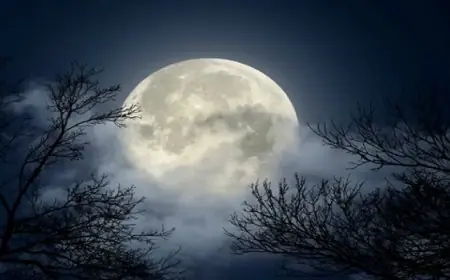 تألق القمر العملاق في سماء مصر لثلاث ليال متتالية