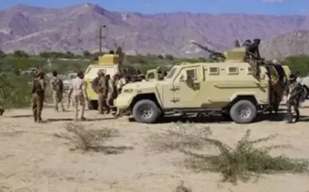 درع الوطن تستلم أسلحة الانتقالي بعد السيطرة على المكلا ومطار الريان