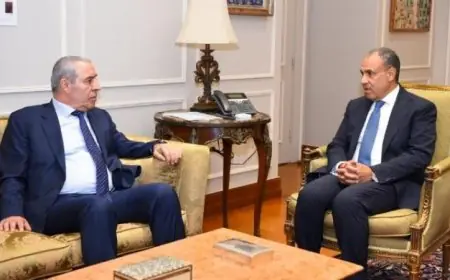 وزير الخارجية ي reaffirm دعمه الثابت لحقوق الشعب الفلسطيني في الموقف المصري