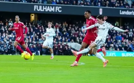 تعادل مثير بين ليفربول وفولهام في الدوري الإنجليزي يشعل الأجواء فيديو