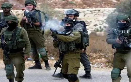 محمد الجوسقى يتولى رئاسة الهيئة العامة للاستثمار والمناطق الحرة لتعزيز التنمية الاقتصادية