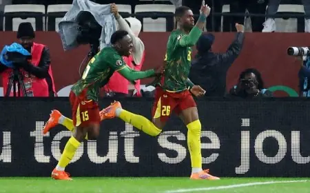 الكاميرون تتفوق على جنوب إفريقيا وتتأهل لمواجهة المغرب في ربع نهائي كأس إفريقيا