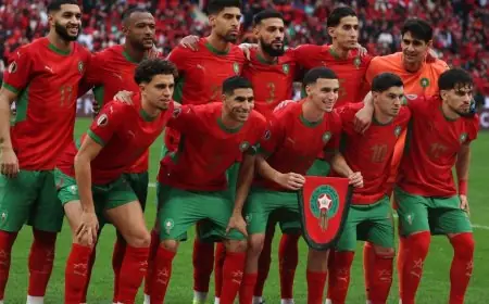 صدام الأسود في ربع النهائي المغرب يواجه الكاميرون لاستعادة كابوس افريقيا