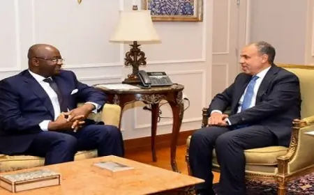 وزير الخارجية يؤكد عمق الشراكة الاستراتيجية بين مصر والبنك الإفريقي للتصدير والاستيراد