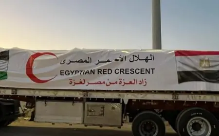 قافلة زاد العزة الـ109 تصل غزة وتقدم المساعدة للفلسطينيين