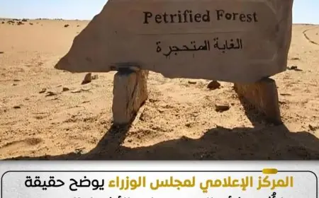 المركز الإعلامي للوزراء يكشف الحقيقة حول التعدي على الأشجار المتحجرة