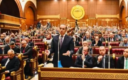 الشيوخ يواصلون مناقشاتهم لتعديل أحكام قانون الضريبة على العقارات المبنية