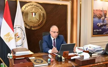 وزير الري launches برنامج سفراء المياه لـ 200 متدرب من 27 دولة أفريقية بالصور