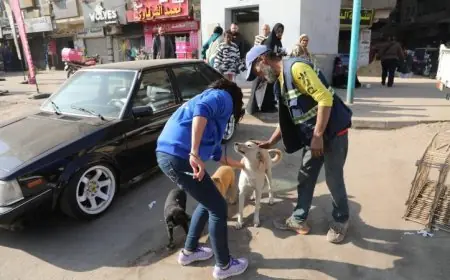صور انطلاق المرحلة الميدانية لتعقيم وتحصين الكلاب الضالة في منطقة عين شمس