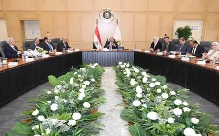 كامل الوزير يؤكد أن الصناعة القوية تعزز تكامل حلقاتها مما يزيد فرص العمل ويُحسن جودة المنتجات