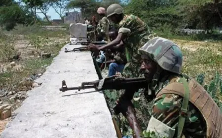 الجيش الصومالي ينفذ عملية ناجحة ويقضي على 5 إرهابيين في محافظة جدو جنوب غرب البلاد