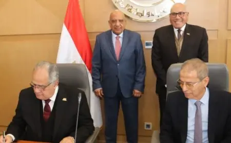 الكهرباء تطلق شركة جديدة لتشغيل وصيانة أنظمة الطاقة الشمسية بالتعاون مع الهيئة العربية للتصنيع